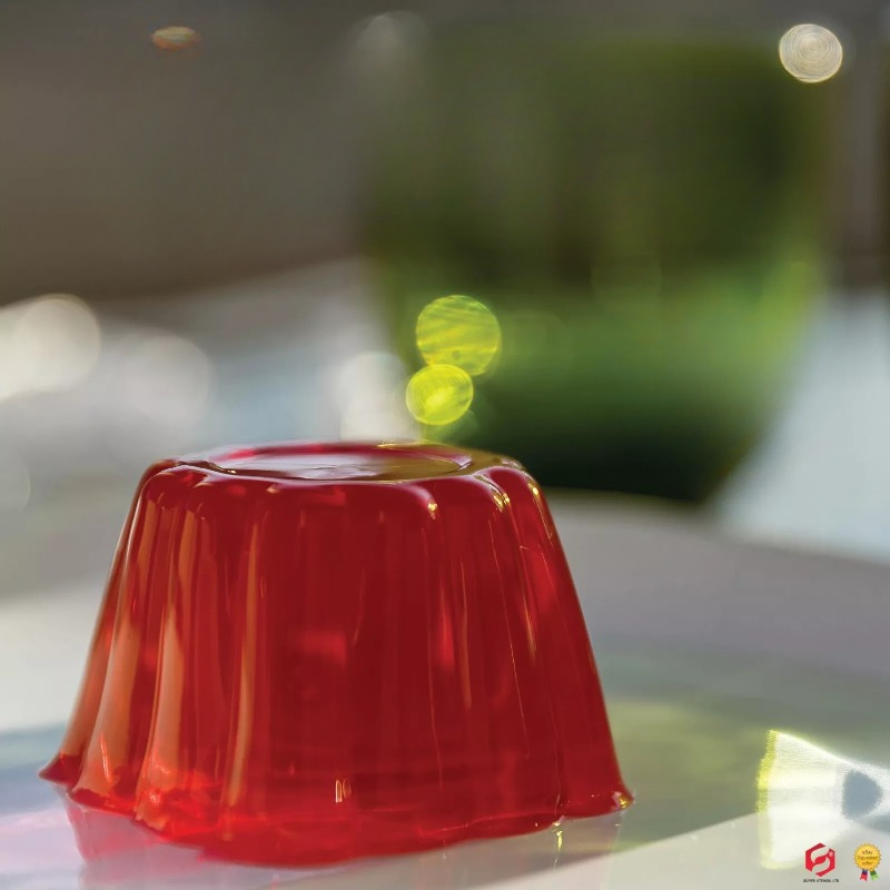 Pudding Cake Mold with Lid DIY - Baby Food Home recension och pris