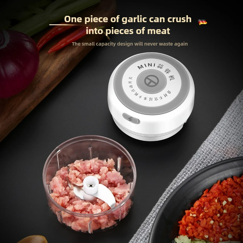 Electric Mini Garlic Chopper 1 - Baby Food Vegetables recension och pris